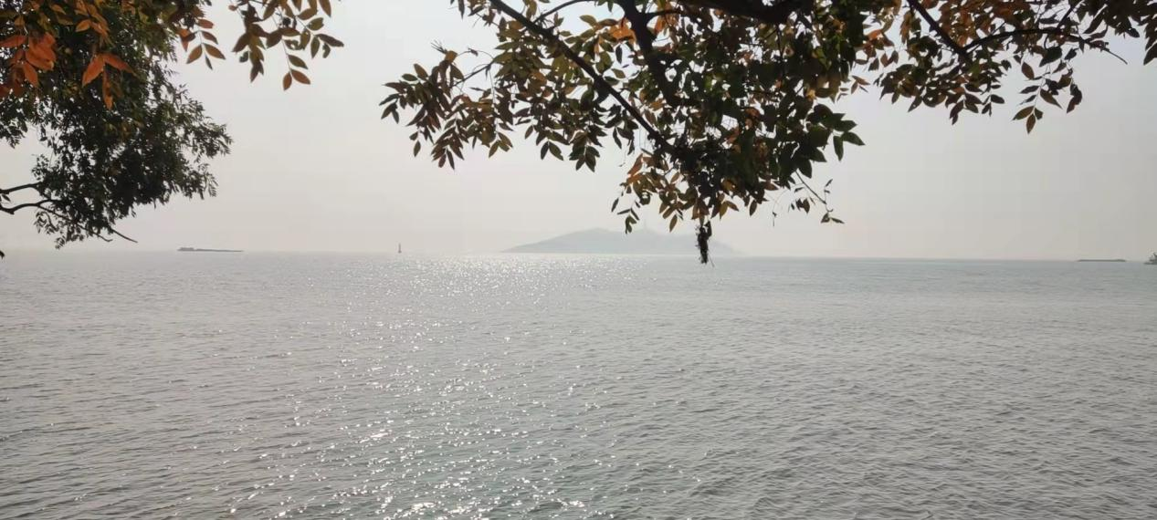 巢湖美丽风光